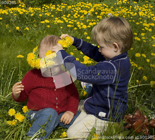 Image of Children picking flowers