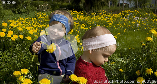 Image of Children picking flowers