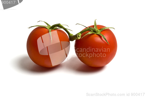 Image of  Fresh two tomatoes 