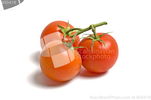 Image of Three fresh tomatoes 