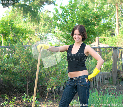 Image of gardening