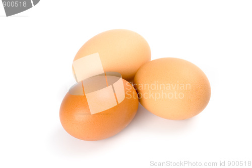 Image of three brown eggs