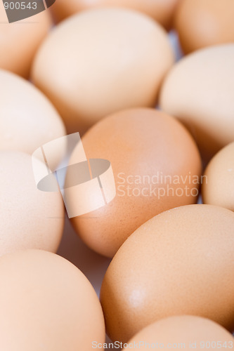 Image of brown eggs