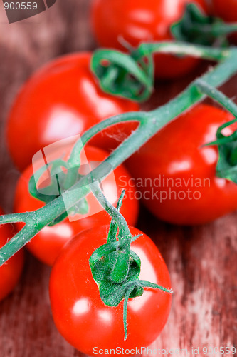 Image of tomatoes bunch