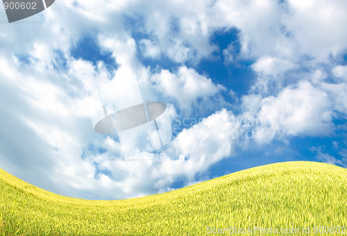 Image of Sky and meadows