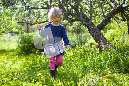 Image of Little girl with dandelions