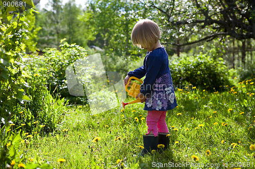 Image of Little girl watering flowers