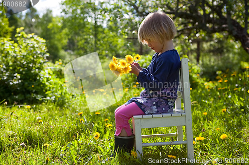 Image of Little girl with dandelions