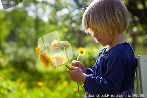 Image of Little girl with dandelions