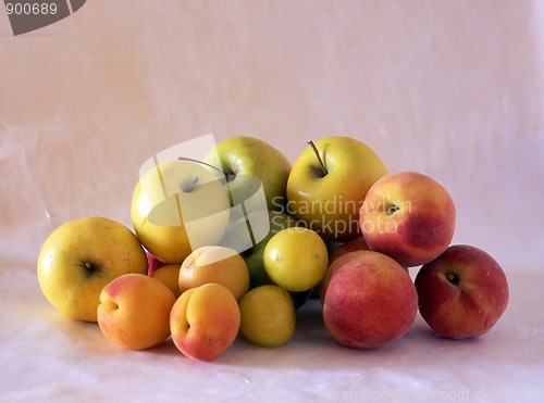 Image of Multi fresh fruits 