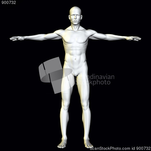 Image of Anatomy Man