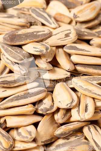 Image of Sunflower seeds