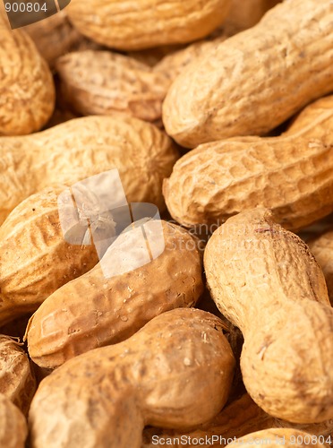 Image of Peanuts