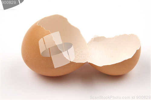 Image of Broken egg