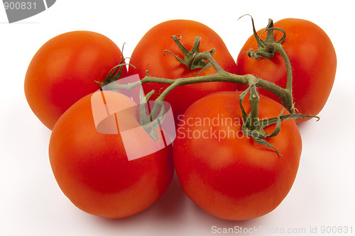 Image of Five Tomatoes