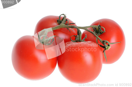 Image of tomato isolated on a white studio background   