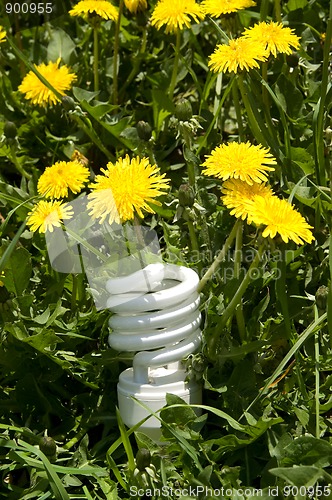 Image of Energy saving bulb in grass