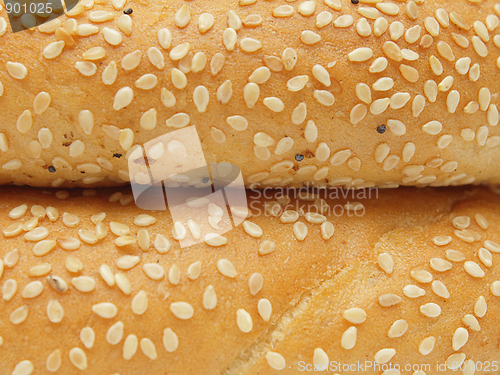 Image of Closeup of two bagels with sesame seeds
