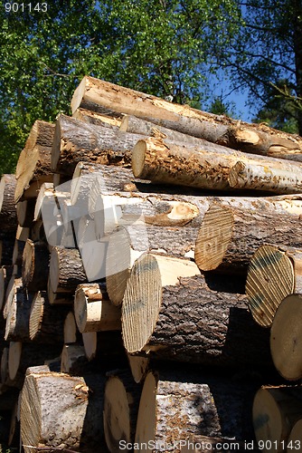 Image of Timber Logs Piled Up