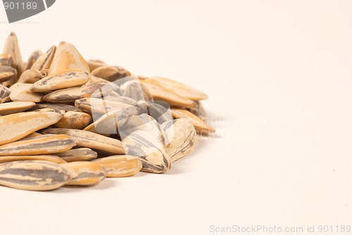 Image of Sunflower seeds