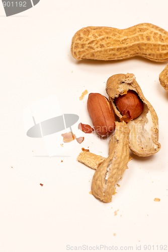 Image of Peanut background