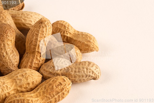 Image of Peanut background