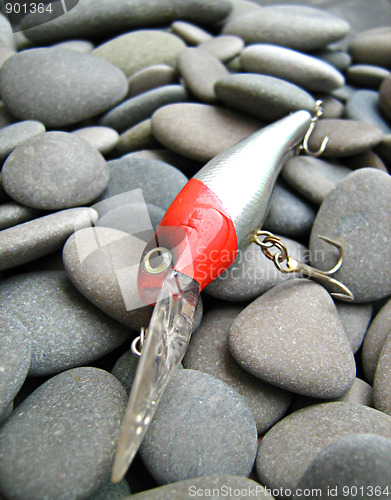 Image of fishing bait