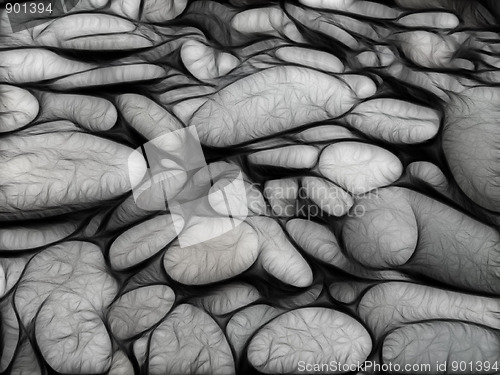 Image of sea stones