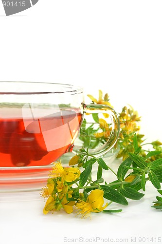 Image of St. John's Wort Tea