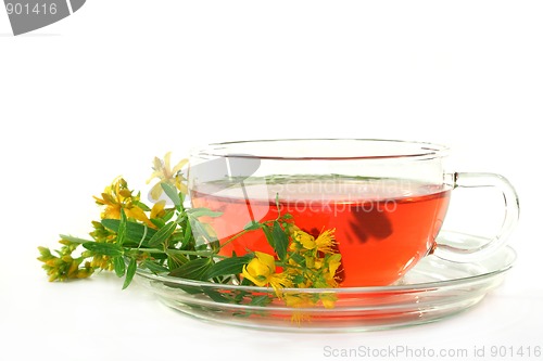 Image of St. John's Wort Tea