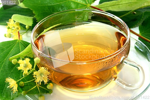 Image of Linden flower tea