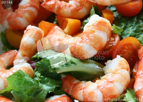 Image of Shrimp Salad