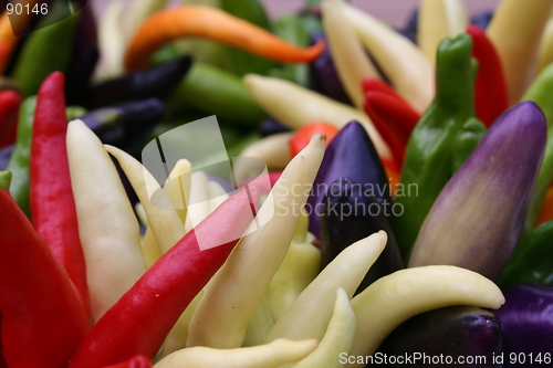 Image of Peppers