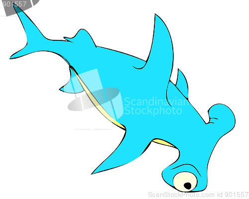 Image of shark