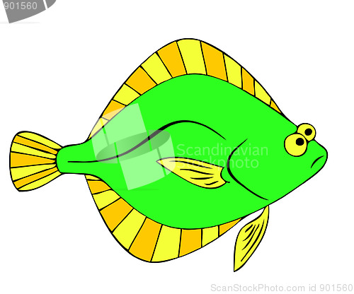 Image of flounder