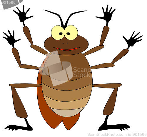 Image of cockroach