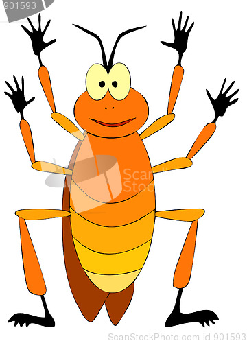 Image of Cockroach