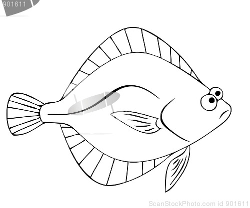 Image of flounder