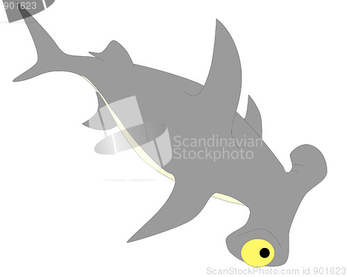 Image of shark