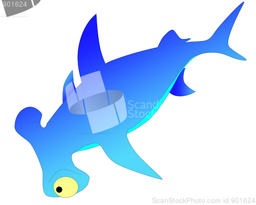 Image of shark