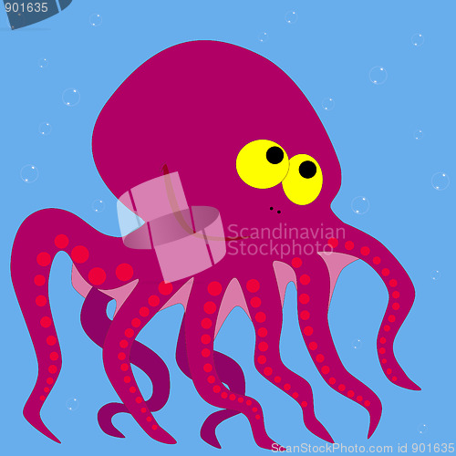 Image of octopus