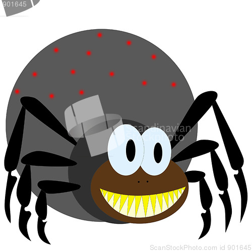 Image of spider