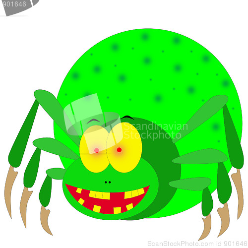 Image of spider