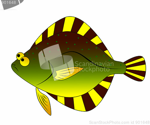 Image of flounder