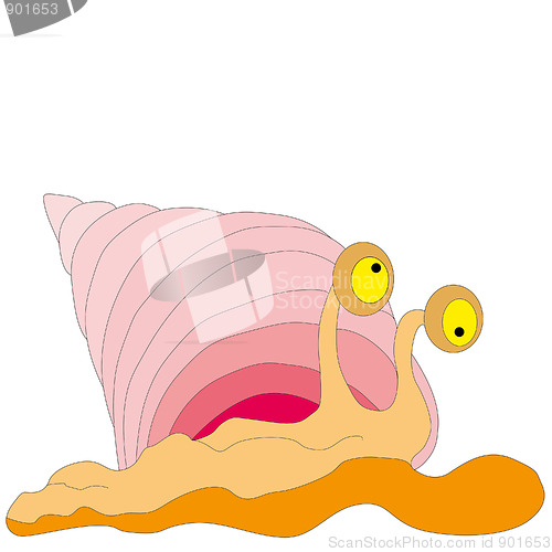 Image of Sea snail