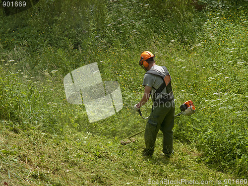 Image of Man cutting high grass