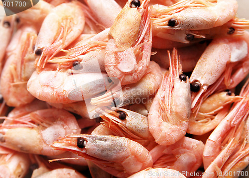 Image of Unpeeled prawns