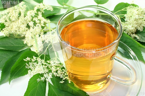 Image of Elderflower tea