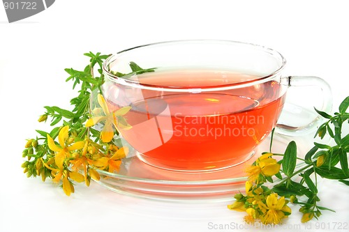 Image of St. John's Wort Tea
