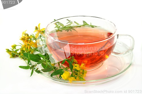 Image of St. John's Wort Tea